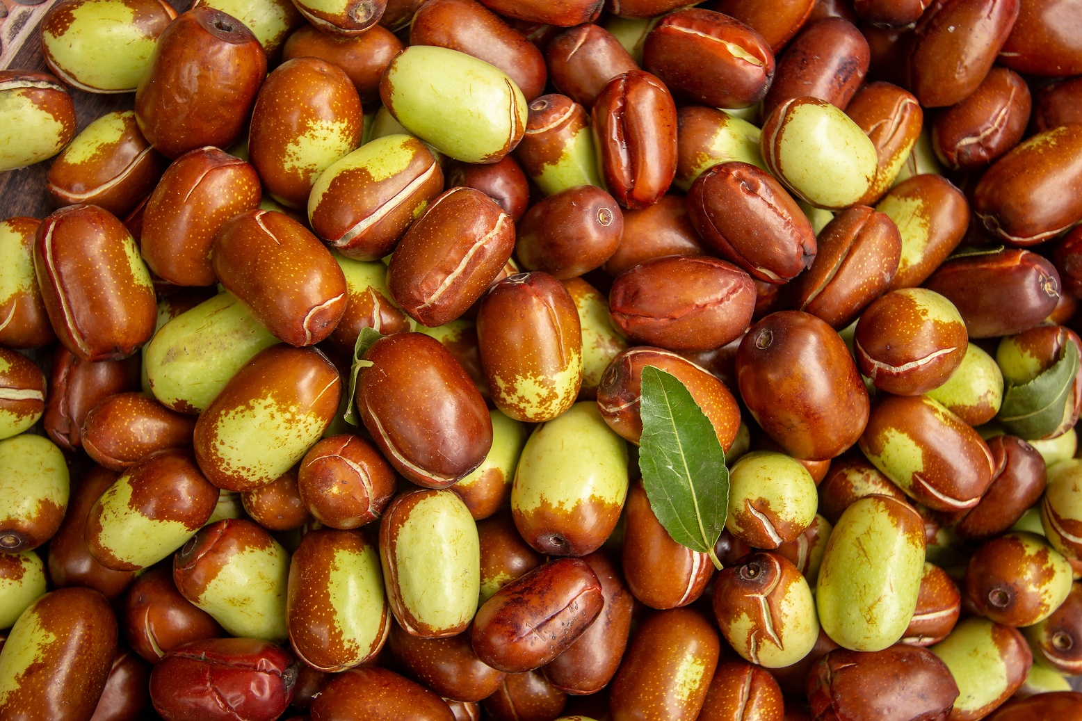 fresh jojoba fruit.