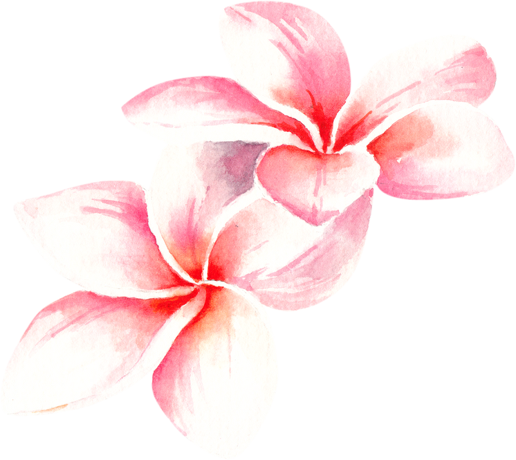 tropical flower
